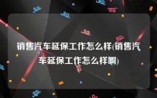 销售汽车延保工作怎么样(销售汽车延保工作怎么样啊)