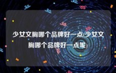 少女文胸哪个品牌好一点(少女文胸哪个品牌好一点呢)