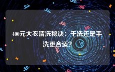 400元大衣清洗秘诀：干洗还是手洗更合适？