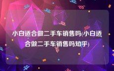 小白适合做二手车销售吗(小白适合做二手车销售吗知乎)