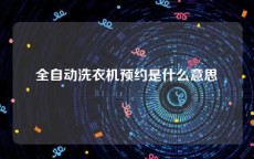 全自动洗衣机预约是什么意思