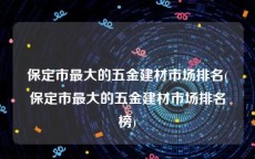 保定市最大的五金建材市场排名(保定市最大的五金建材市场排名榜)