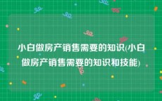 小白做房产销售需要的知识(小白做房产销售需要的知识和技能)