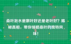 桑叶泡水是嫩叶好还是老叶好？揭秘真相，带你领略桑叶的独特风味！