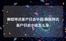 保险拜访客户日志小结(保险拜访客户日志小结怎么写)