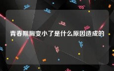 青春期胸变小了是什么原因造成的