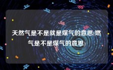 天然气是不是就是煤气的意思(燃气是不是煤气的意思)