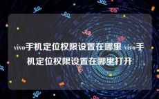 vivo手机定位权限设置在哪里 vivo手机定位权限设置在哪里打开