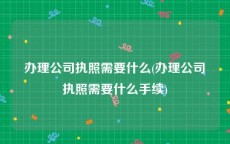 办理公司执照需要什么(办理公司执照需要什么手续)