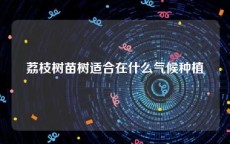 荔枝树苗树适合在什么气候种植