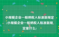 小规模企业一般纳税人标准新规定(小规模企业一般纳税人标准新规定是什么)