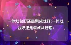 一体灶台好还是集成灶好(一体灶台好还是集成灶好用)