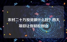 农村二十万投资做什么好？四大项目让你轻松创业