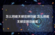 怎么彻底关掉花呗功能 怎么彻底关掉花呗功能呢