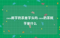 coco鲜芋奶茶是芋头吗 coco奶茶鲜芋是什么