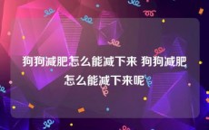 狗狗减肥怎么能减下来 狗狗减肥怎么能减下来呢