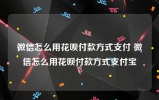 微信怎么用花呗付款方式支付 微信怎么用花呗付款方式支付宝