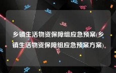 乡镇生活物资保障组应急预案(乡镇生活物资保障组应急预案方案)