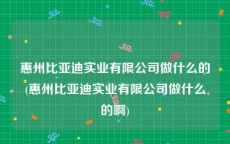 惠州比亚迪实业有限公司做什么的(惠州比亚迪实业有限公司做什么的啊)