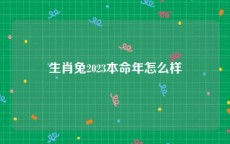 生肖兔2023本命年怎么样