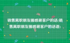 销售离职朋友圈感谢客户的话(销售离职朋友圈感谢客户的话语)