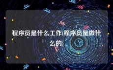 程序员是什么工作(程序员是做什么的)