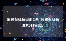 消费者社会因素分析(消费者社会因素分析报告)