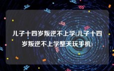 儿子十四岁叛逆不上学(儿子十四岁叛逆不上学整天玩手机)