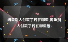 闲鱼别人付款了钱在哪里(闲鱼别人付款了钱在哪里看)