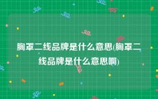 胸罩二线品牌是什么意思(胸罩二线品牌是什么意思啊)