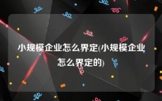 小规模企业怎么界定(小规模企业怎么界定的)