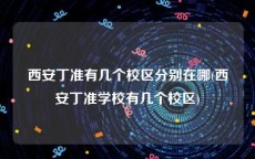 西安丁准有几个校区分别在哪(西安丁准学校有几个校区)