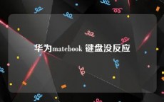 华为matebook 键盘没反应