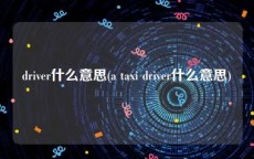 driver什么意思(a taxi driver什么意思)