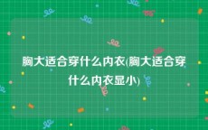 胸大适合穿什么内衣(胸大适合穿什么内衣显小)