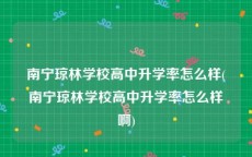 南宁琼林学校高中升学率怎么样(南宁琼林学校高中升学率怎么样啊)