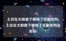 土豆在太阳底下晒绿了还能吃吗(土豆在太阳底下晒绿了还能吃吗没发呀)