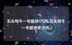 五头母牛一年能挣5万吗(五头母牛一年能挣多少钱)