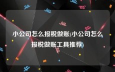 小公司怎么报税做账(小公司怎么报税做账工具推荐)