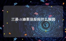 三凌v31油表没反应什么原因