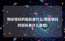 物业项目的指标是什么(物业项目的指标是什么意思)