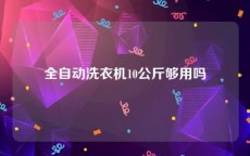 全自动洗衣机10公斤够用吗