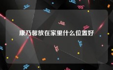 康乃馨放在家里什么位置好