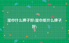 湿巾什么牌子好(湿巾纸什么牌子好)