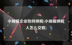 小规模企业如何纳税(小规模纳税人怎么交税)