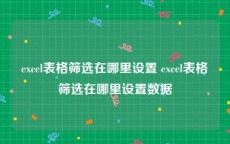 excel表格筛选在哪里设置 excel表格筛选在哪里设置数据