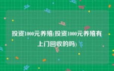 投资1000元养殖(投资1000元养殖有上门回收的吗)