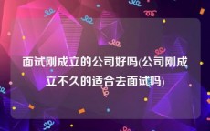 面试刚成立的公司好吗(公司刚成立不久的适合去面试吗)