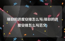 项目的进度安排怎么写(项目的进度安排怎么写范文)