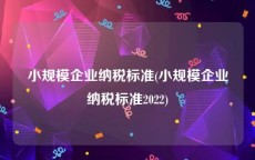 小规模企业纳税标准(小规模企业纳税标准2022)